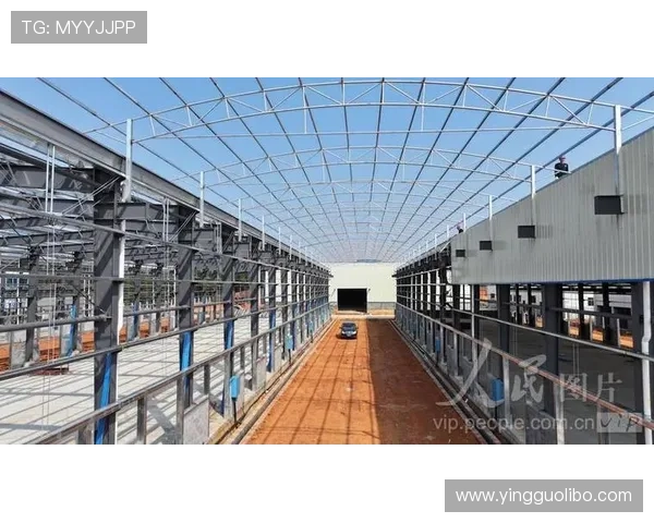 博鱼官方网站安全支付方式详解保障玩家资金安全与便捷充值体验